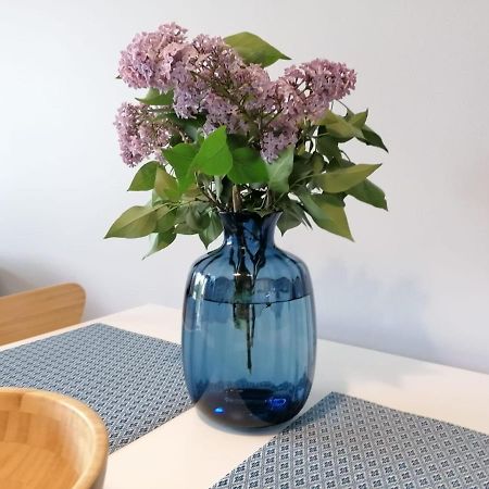 Apartament Gromadzyn 39 Ustrzyki Dolne Kültér fotó