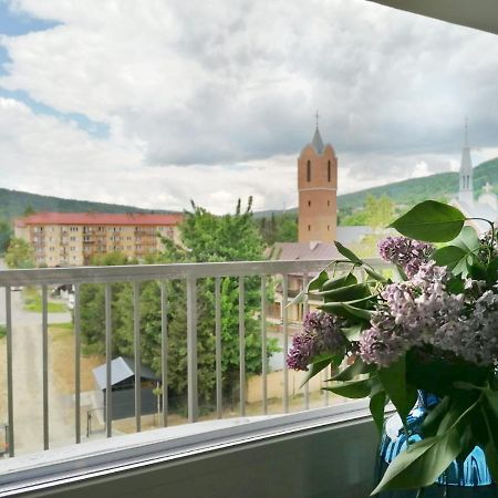 Apartament Gromadzyn 39 Ustrzyki Dolne Kültér fotó