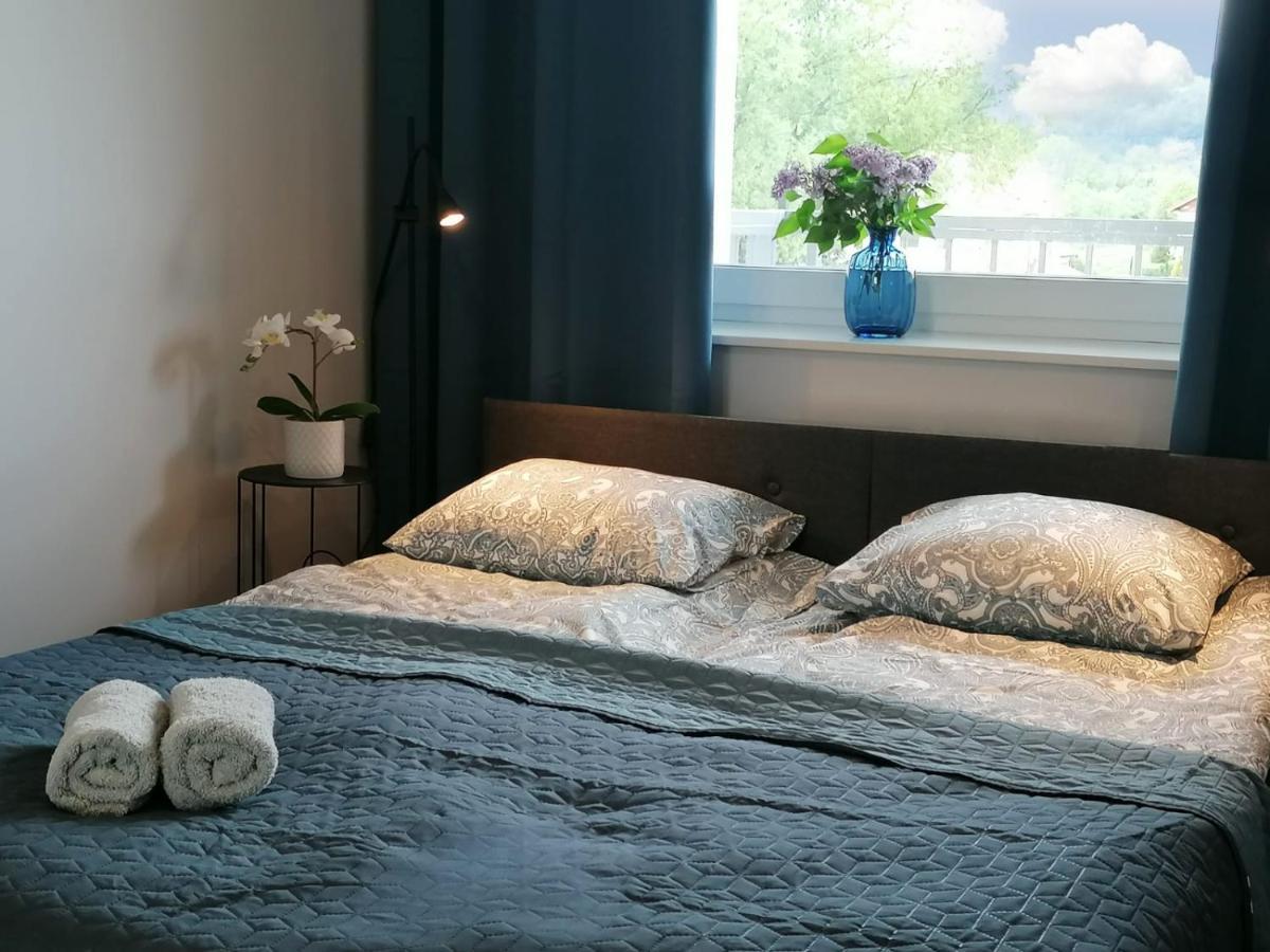 Apartament Gromadzyn 39 Ustrzyki Dolne Kültér fotó