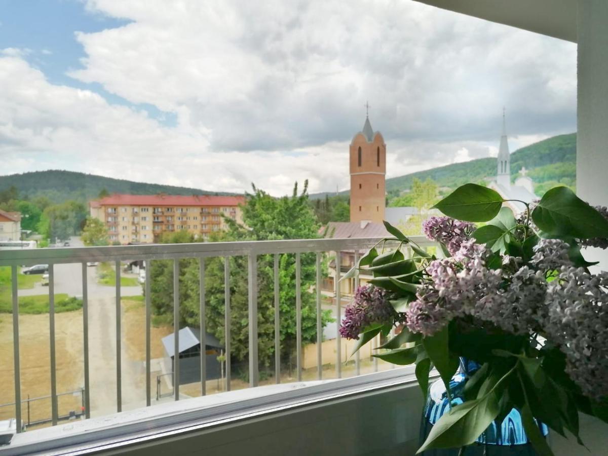 Apartament Gromadzyn 39 Ustrzyki Dolne Kültér fotó
